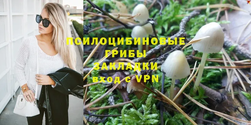 закладки  Монино  Галлюциногенные грибы GOLDEN TEACHER 